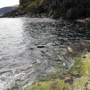 IMG_20190320_110539_1