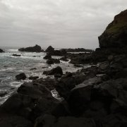 IMG_20190314_190239_1