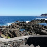 IMG_20190326_120238_BURST005