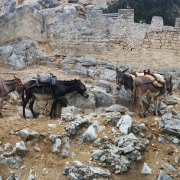 PANO_20150922_124904