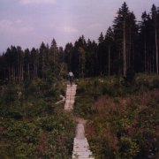 north-shore-big-wave-marc+